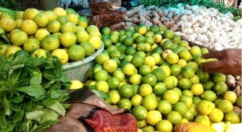 गर्मी में नींबू के दामों का हुआ पारा हाई, निचुड़ रहे लोगों के पॉकेट
