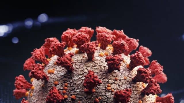 बढ़ रही कोरोना की रफ्तार : देश में2568 संक्रमित नए मरीज मिले, रांची में चार