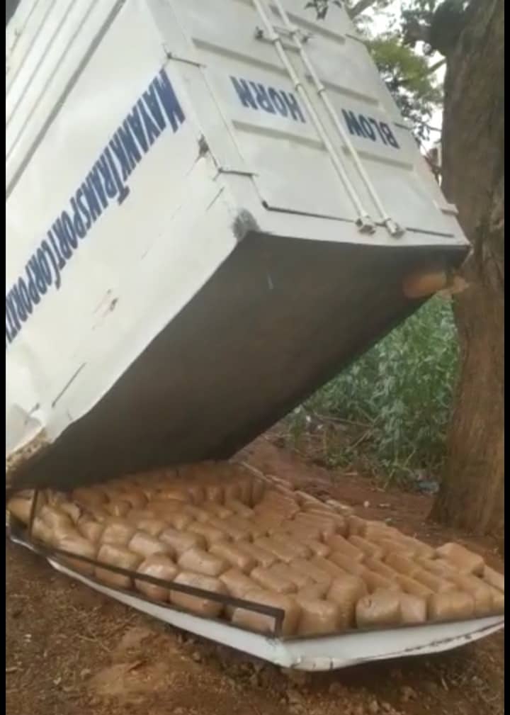 गांजा लदा पिकअप वैन पलटा, दो गिरफ्तार