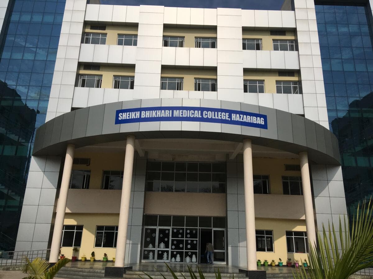 हजारीबाग: अल्ट्रासाउंड के लिए पैदल जाते हुए दिया शिशु को जन्म ,जमीन पर गिरते ही बच्चे की हुई मौत