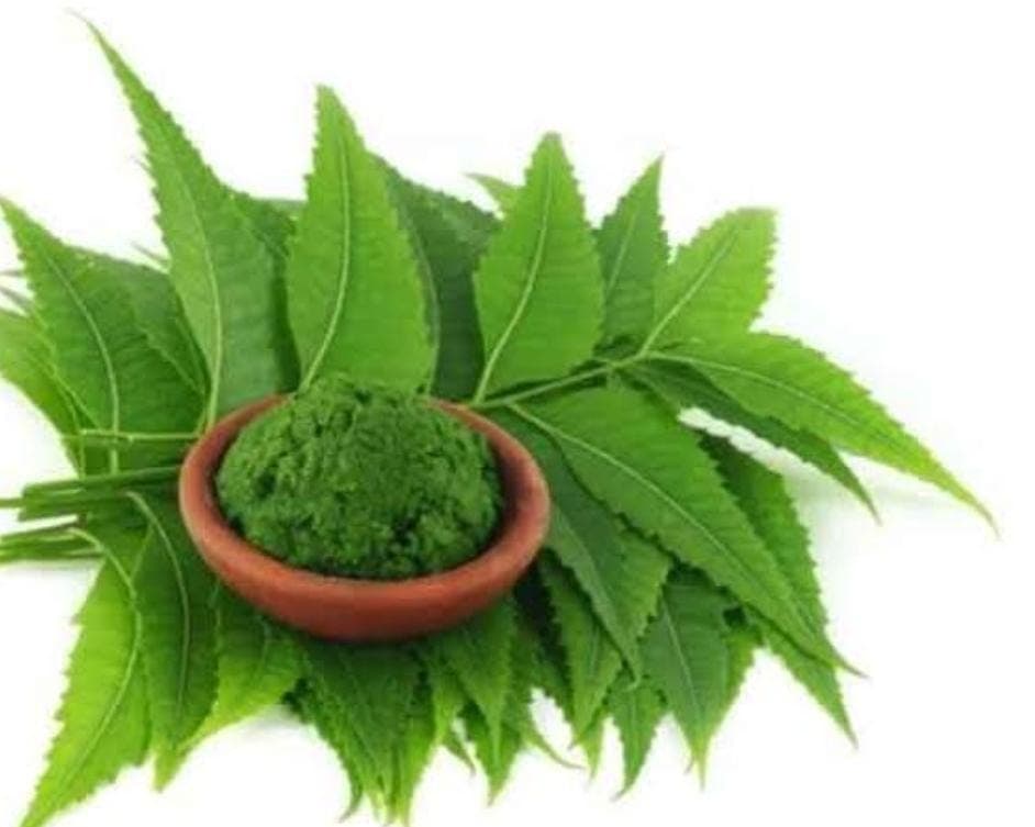 सुबह-सुबह नीम की पत्तियों के सेवन से दूर होता है डायबिटीज, जानें इसके तीन चमत्कारी फायदे