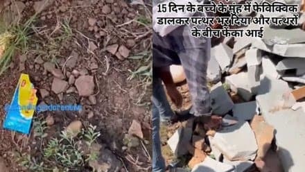 हैवानियत की हद पार! पहले नवजात के मुंह में ठूंसा पत्थर फिर फेवीक्विक से चिपकाया मुंह, जानिए कैसे बची जान