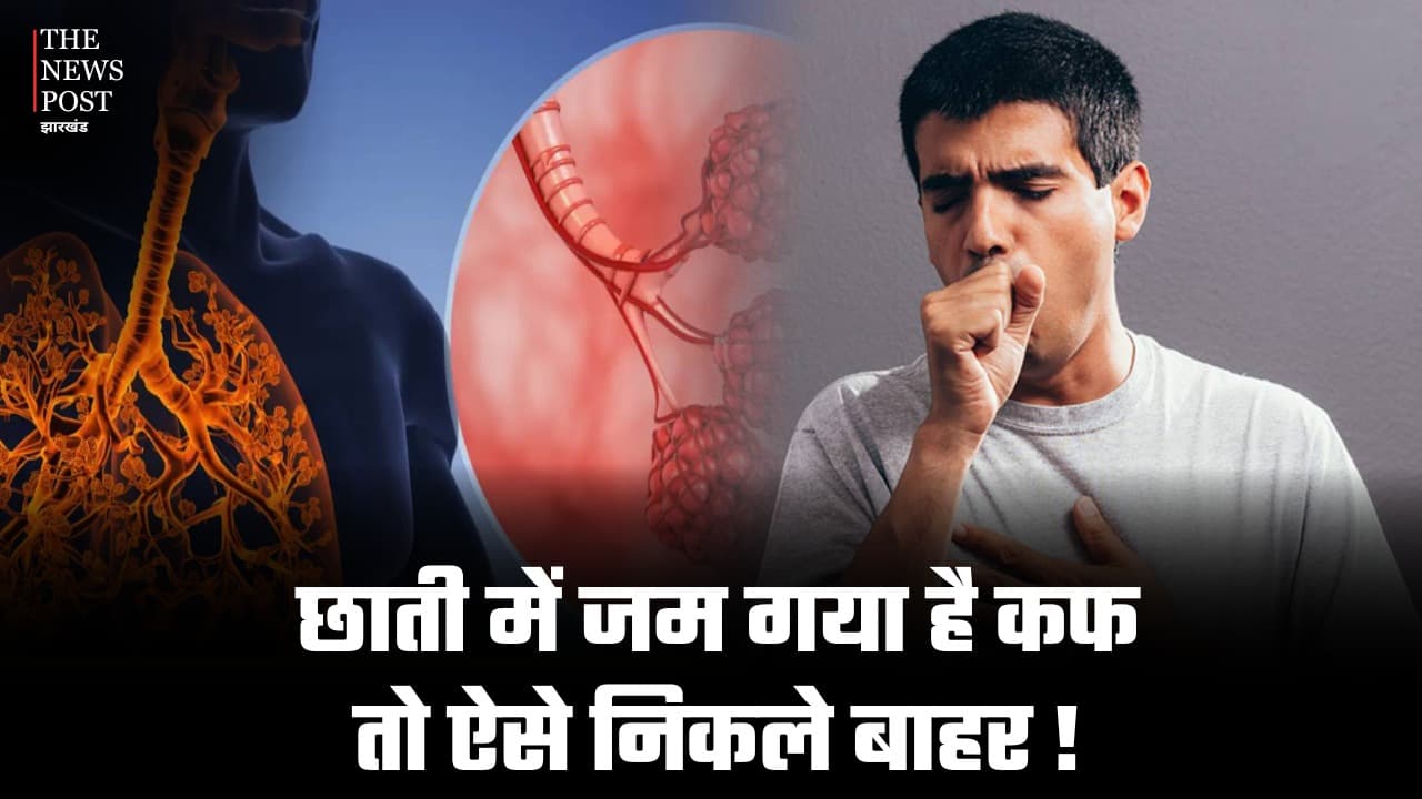 छाती में जकड़ गया है कफ और खांस - खांस कर हो रहें परेशान तो अपनाएं ये आयुर्वेदिक तरीका, तुरंत मिलेगा आराम